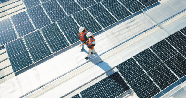 Best Roof Moss and Algae Removal  in New Richmond, OH